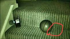 13499825_799191193555446_769211275_o