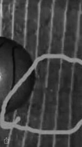 13499932_799191670222065_1235951151_o