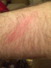 14194437_10157455848240038_595334180_n