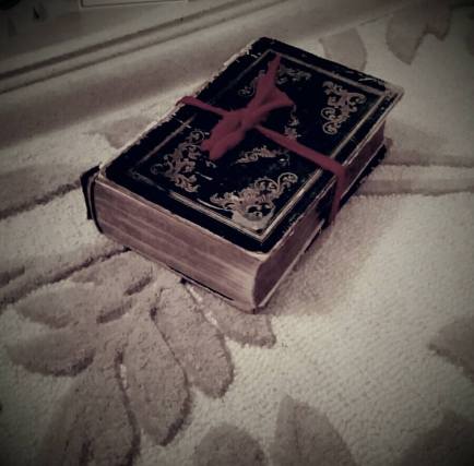 15697981_1827600310853903_7568518663747788997_n