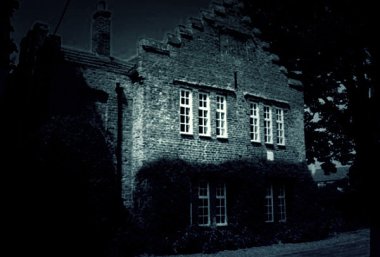 Image result for halsham house ghost