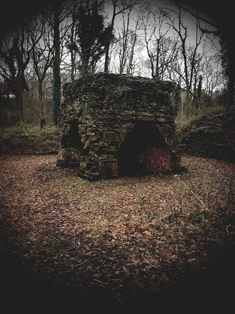 26696158_10213847169430795_185585507_n