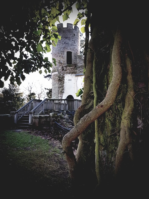 26794149_10213837946760234_1472848547_n