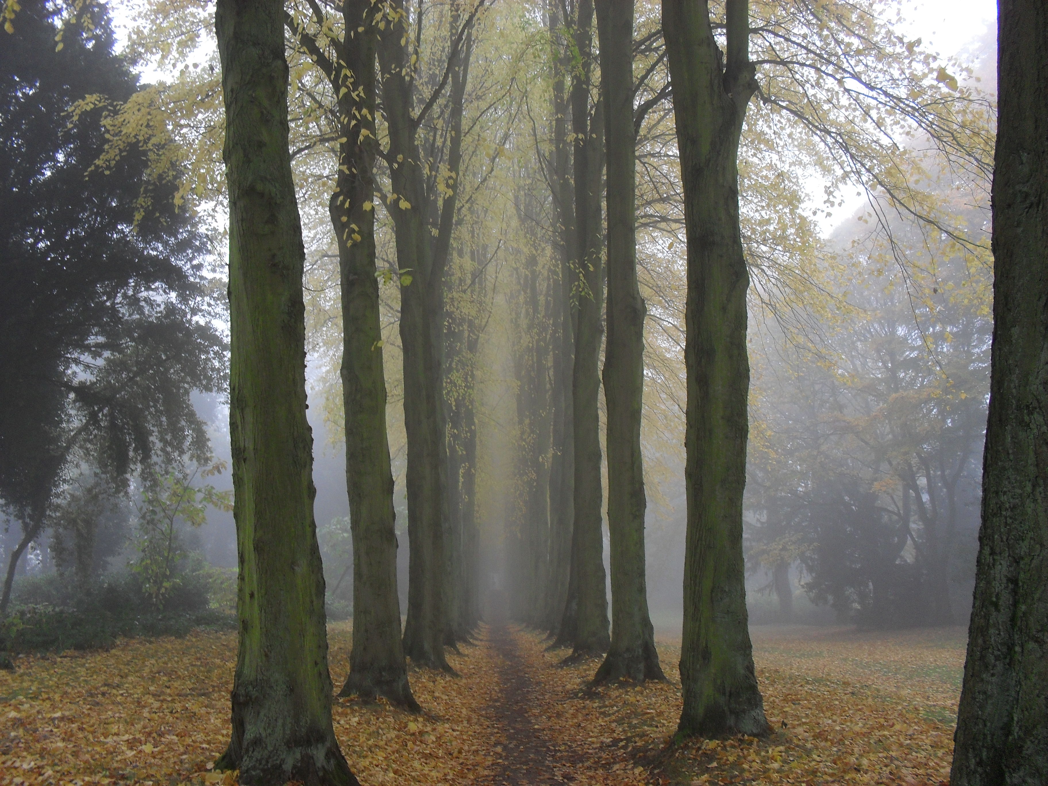 Spooky-Lady-Lucys-walk