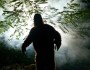 Episode 16: Ape-Men From Around The World: This episode looks at the Ape-men from around the&nbsp;world!