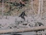 The Legendary Bigfoot